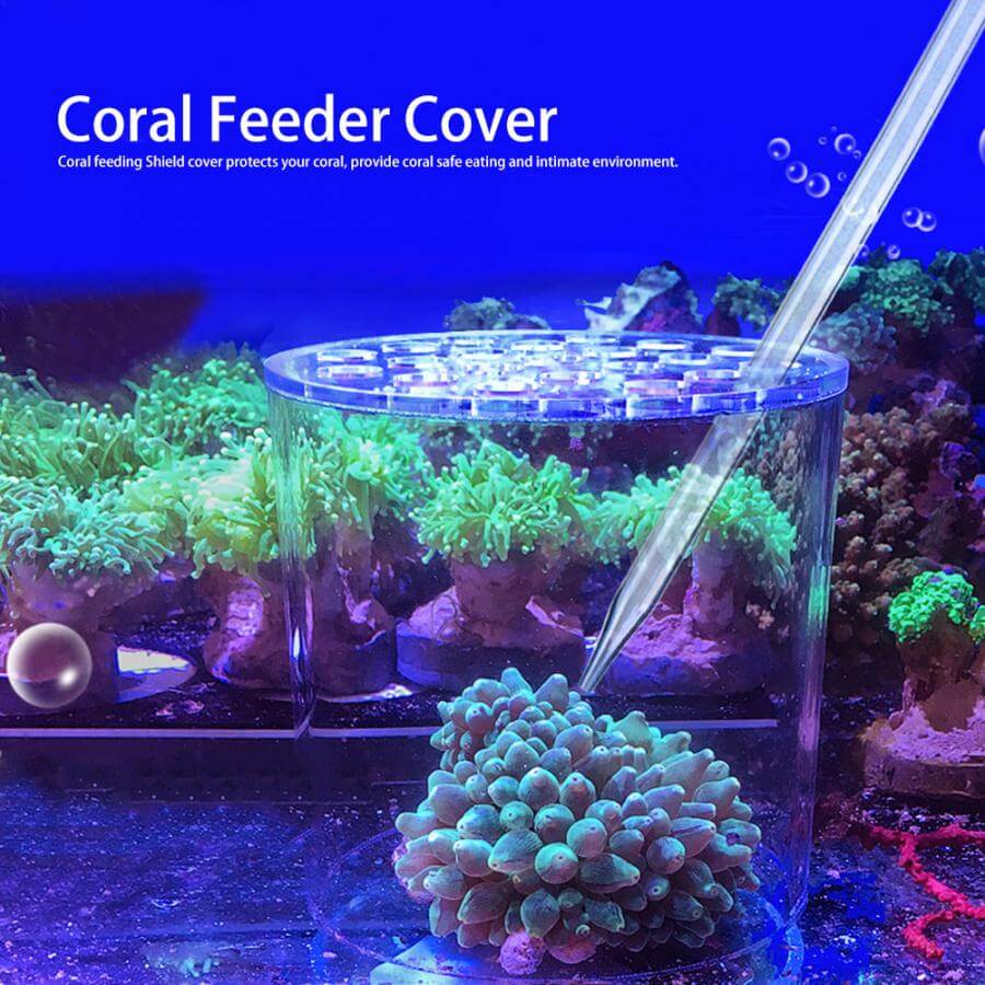 Coral Feeder Cover